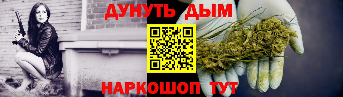 Конопля гибрид Муром
